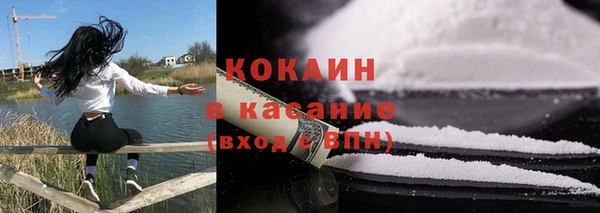 крисы Аркадак