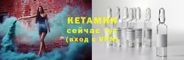 крисы Аркадак