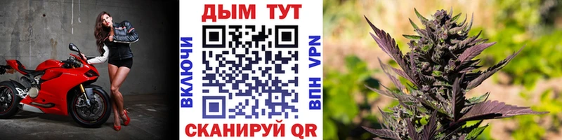 МАРИХУАНА OG Kush Дыгулыбгей